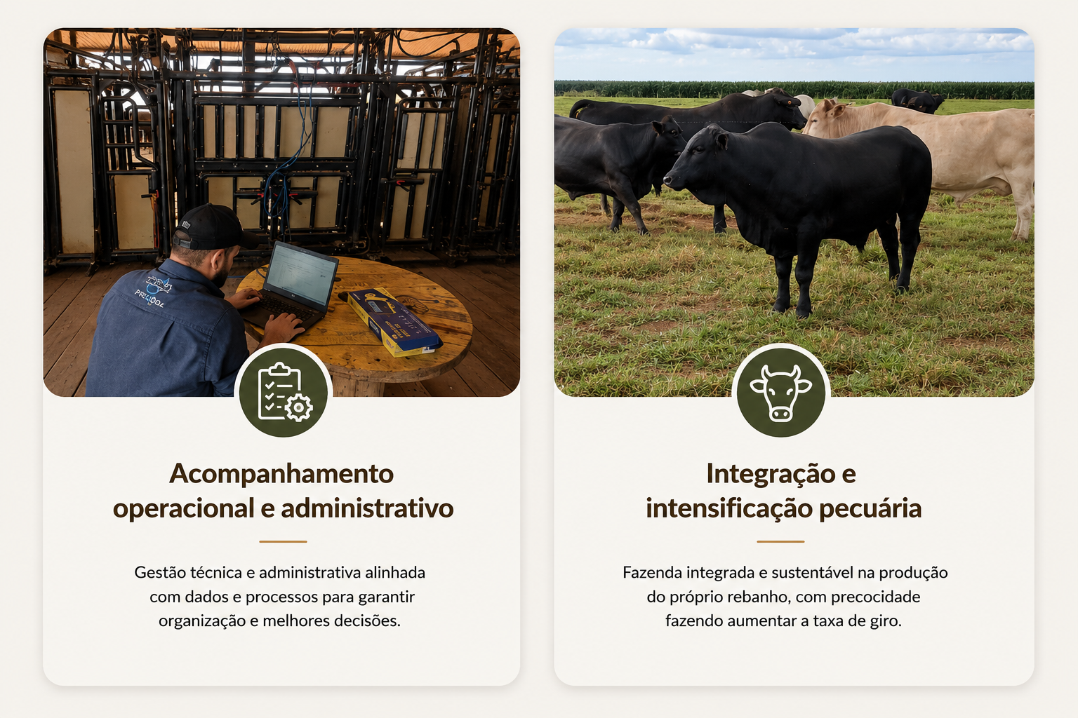 Consultoria em pecuária de corte - Pecuária Estratégica.