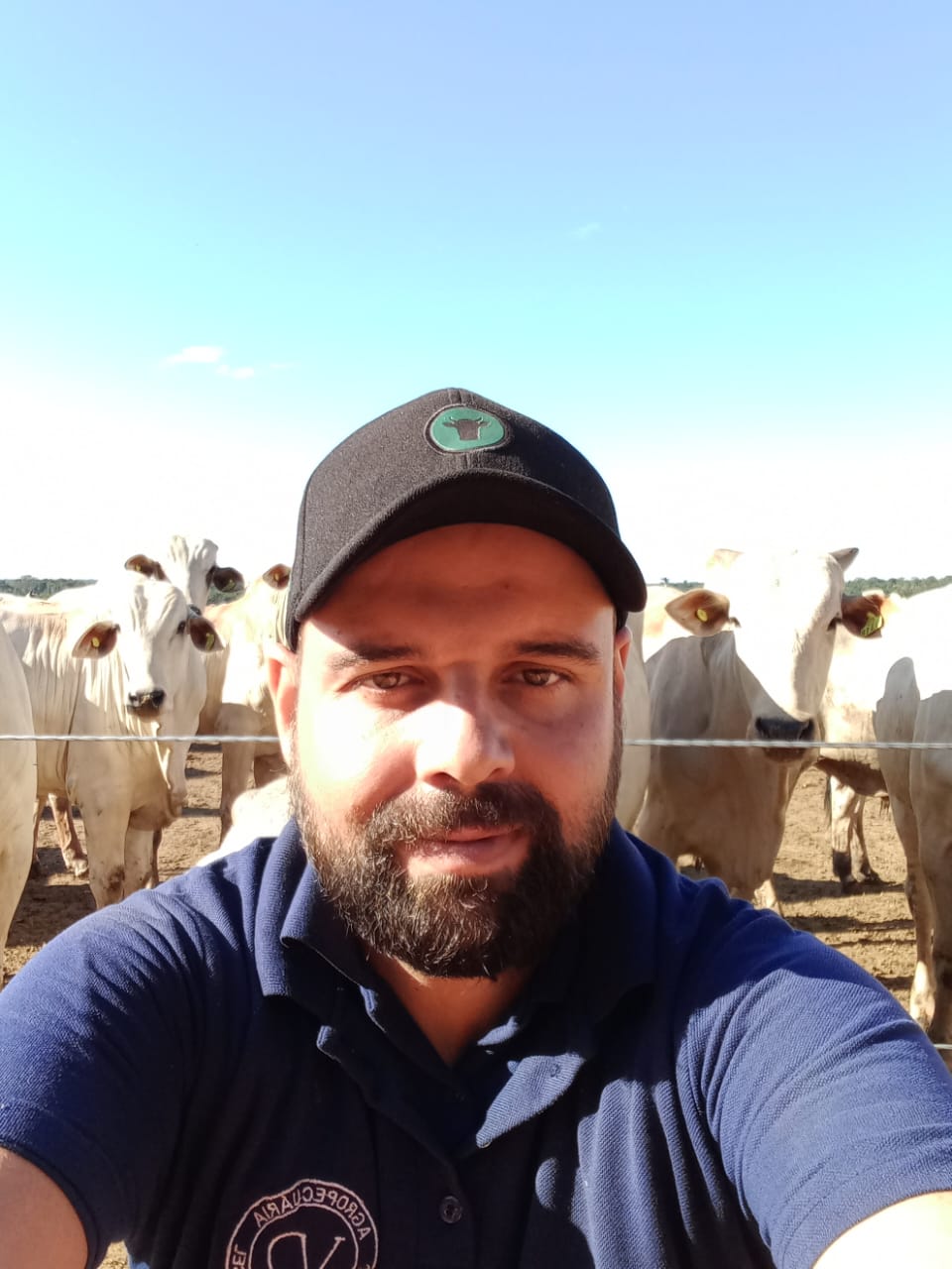 Consultor de Pecuária Caio Guerra - Pecuária Estratégica.